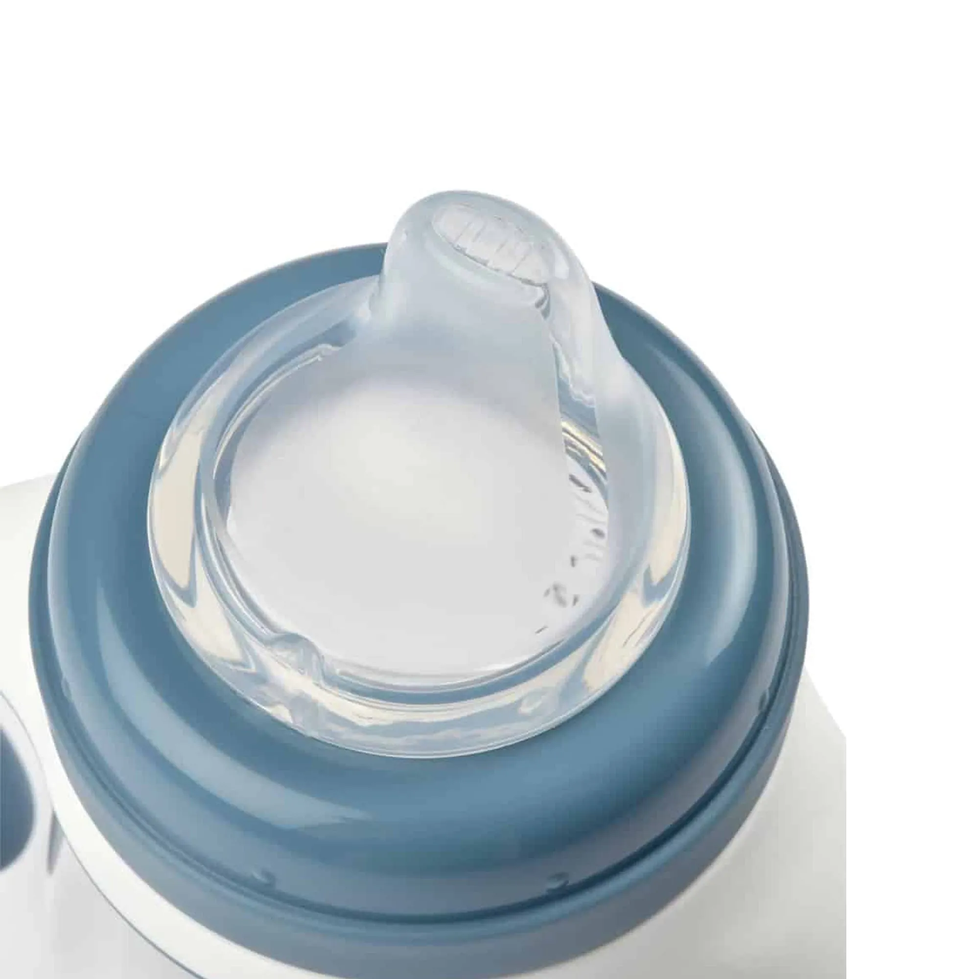 BEABA 2-In-1 Bottle To Sippy Learning Cup - Rain