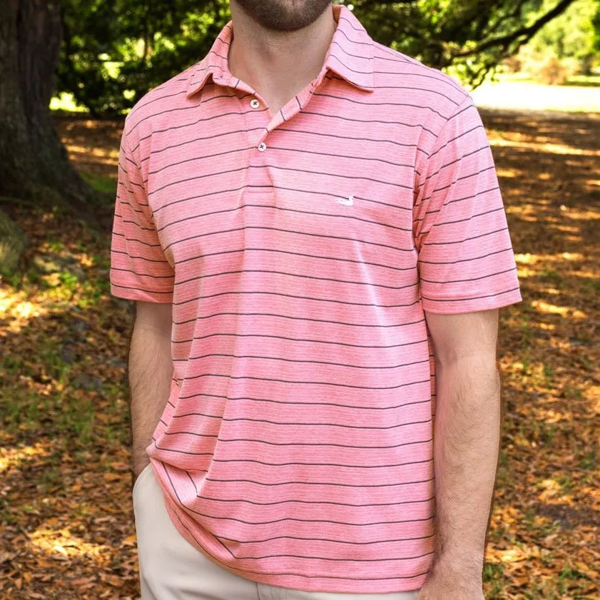 Berkeley Performance Polo - Striped