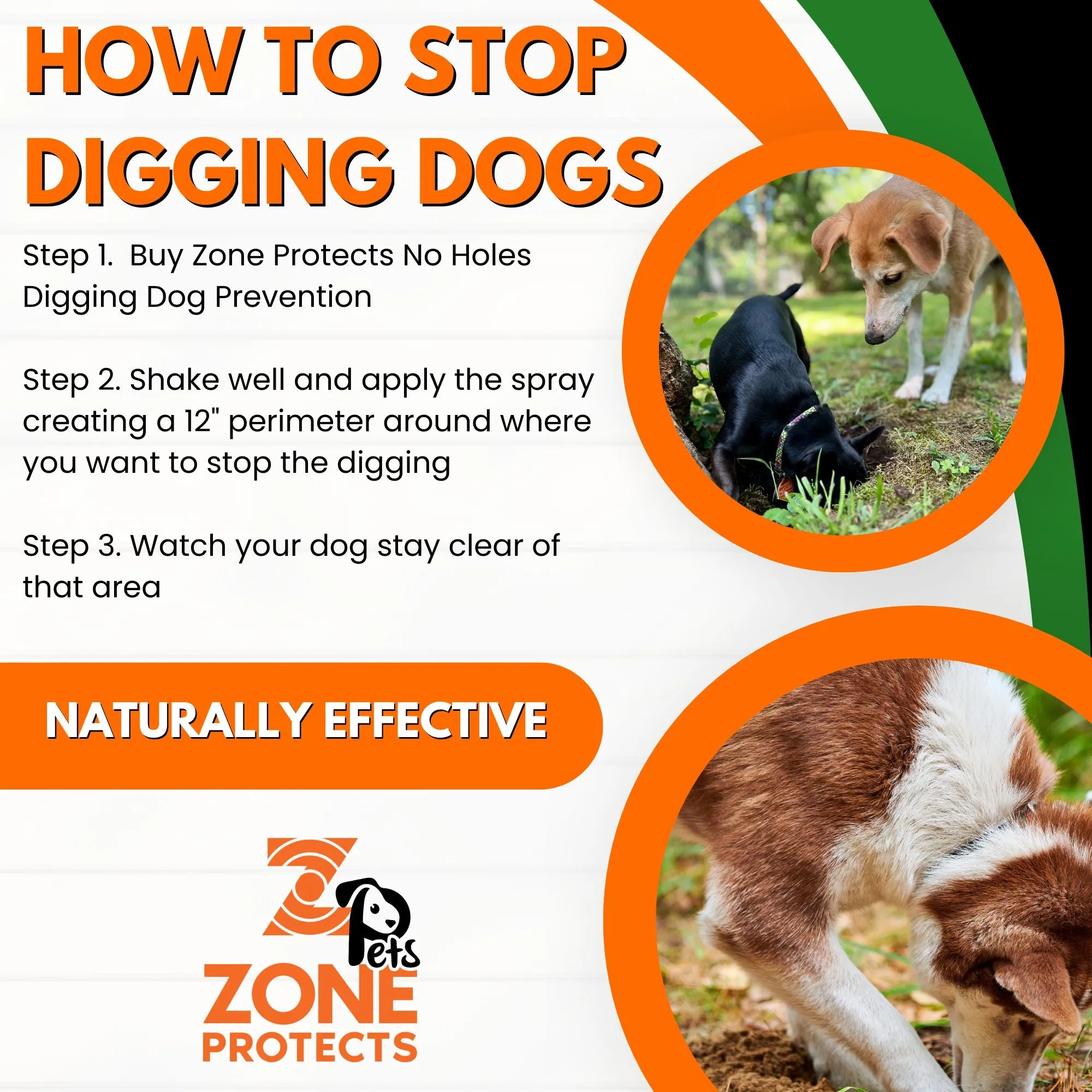 Chewing/Digging Prevention; Big Bad Dog Bundle