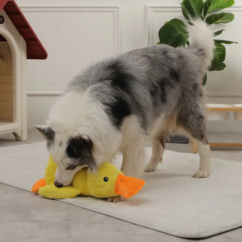 Cute Plush Duck Squeaky Dog Toy with Soft Squeake