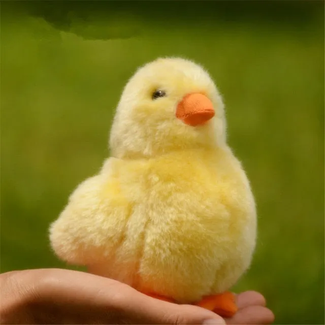 Duck Plush Toy