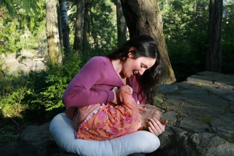 Holy Lamb Organics "Bo Peep" Nursing Pillow | Organic Made in USA