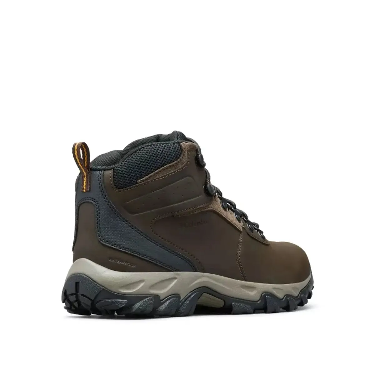 Newton Ridge Plus II Waterproof Hiking Boot - Cordovan