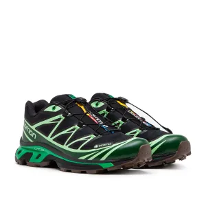 salomon xt-6 gtx (black / eden / green ash)