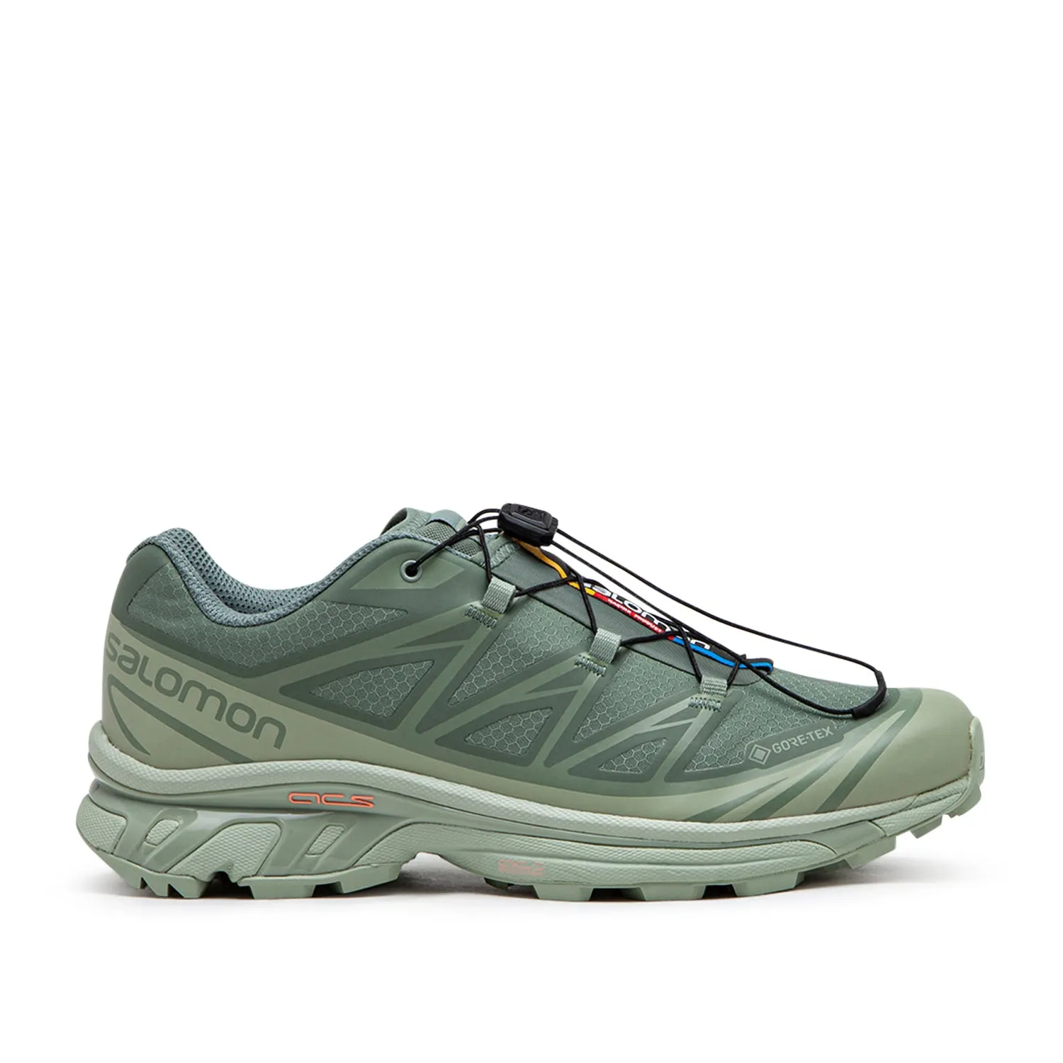 salomon xt-6 gtx (desert sage / lily pad / laurel wreath)