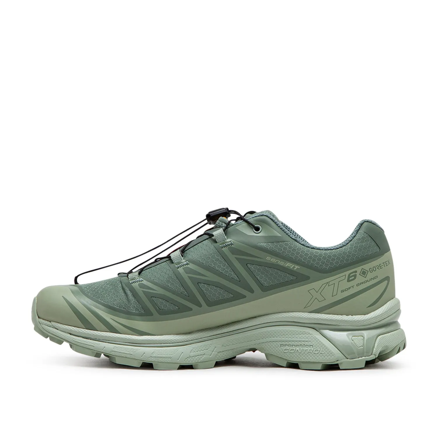 salomon xt-6 gtx (desert sage / lily pad / laurel wreath)