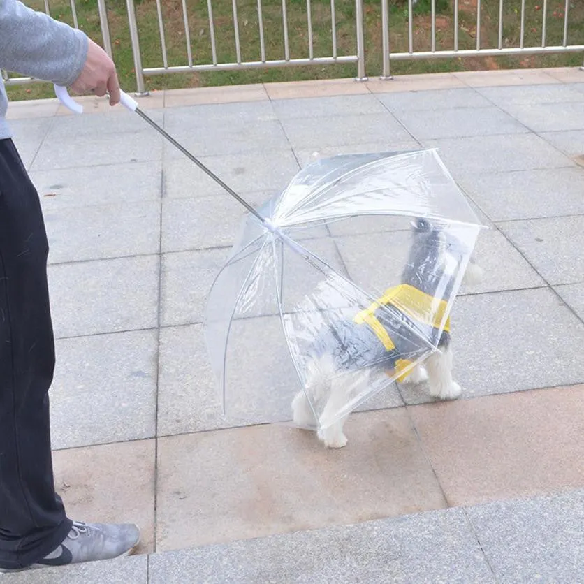 Umbrella keeps small dog dry In rain and snow